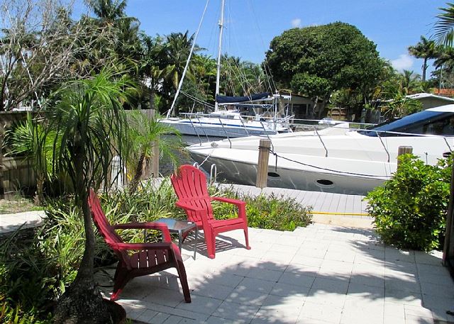 Baby Blue Heron on Intracoastal Waterway in Fort Lauderdale