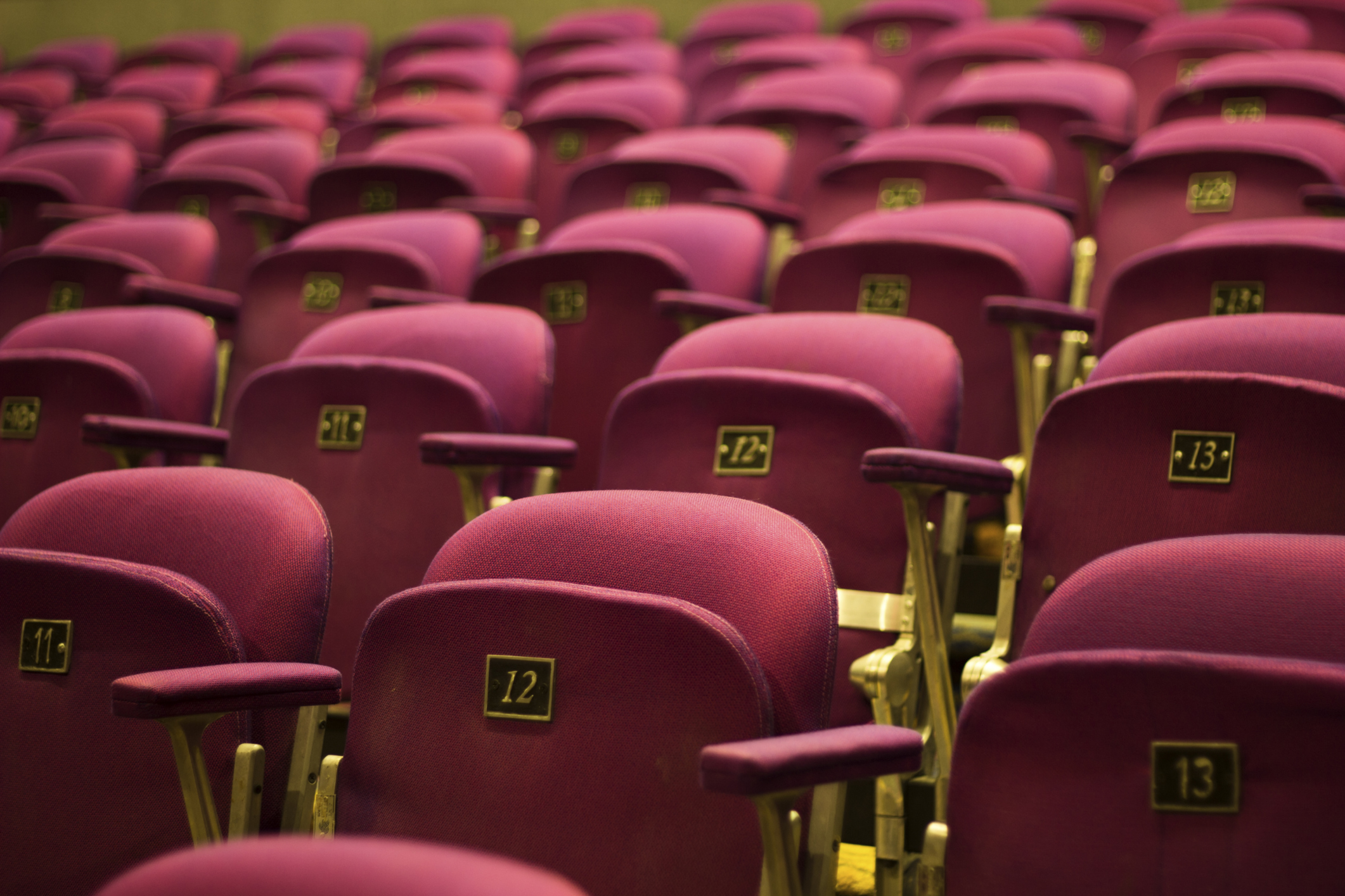 Theatre seats. Seats in the Theatre. Seats at the Theatre. Theater Seats Beech.