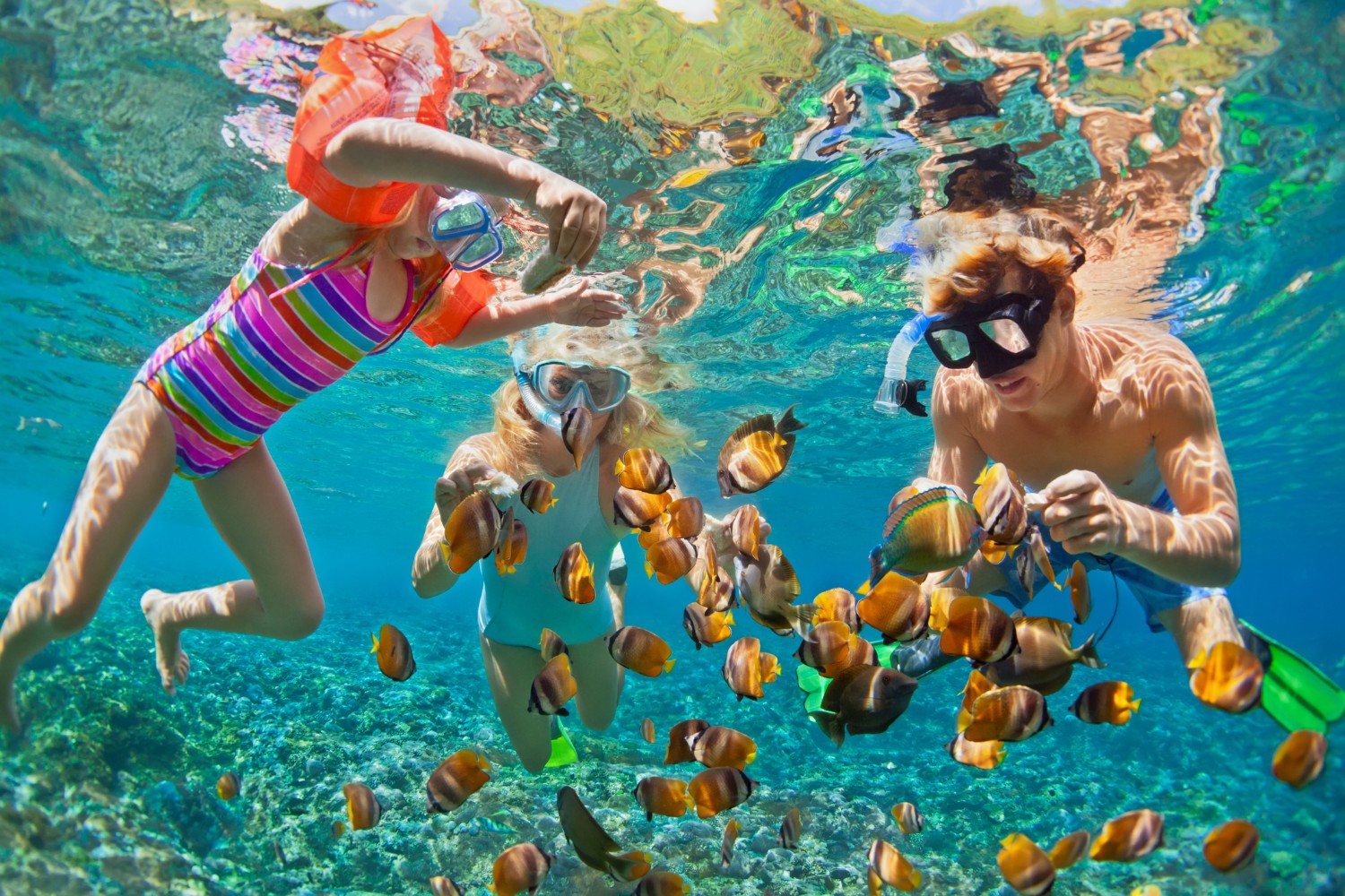 3 Places for Fort Lauderdale Snorkeling | Things to do in Florida