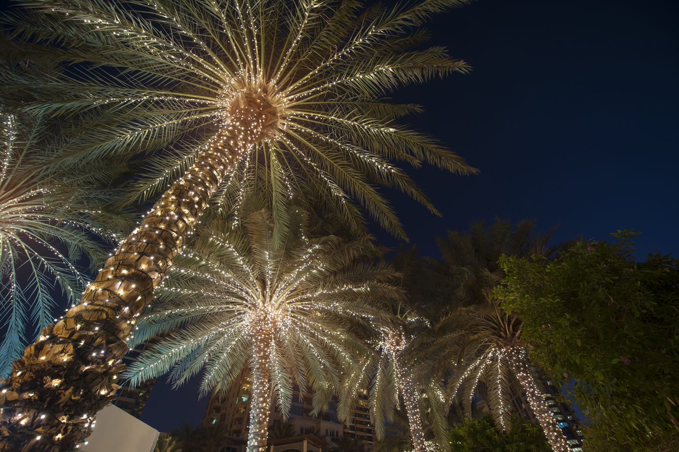 Christmas in Fort Lauderdale How to Make the Best Memories Fort