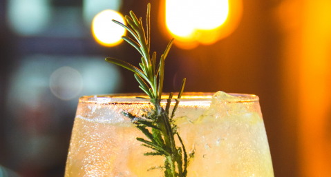 yellow cocktail with a sprig of rosemary