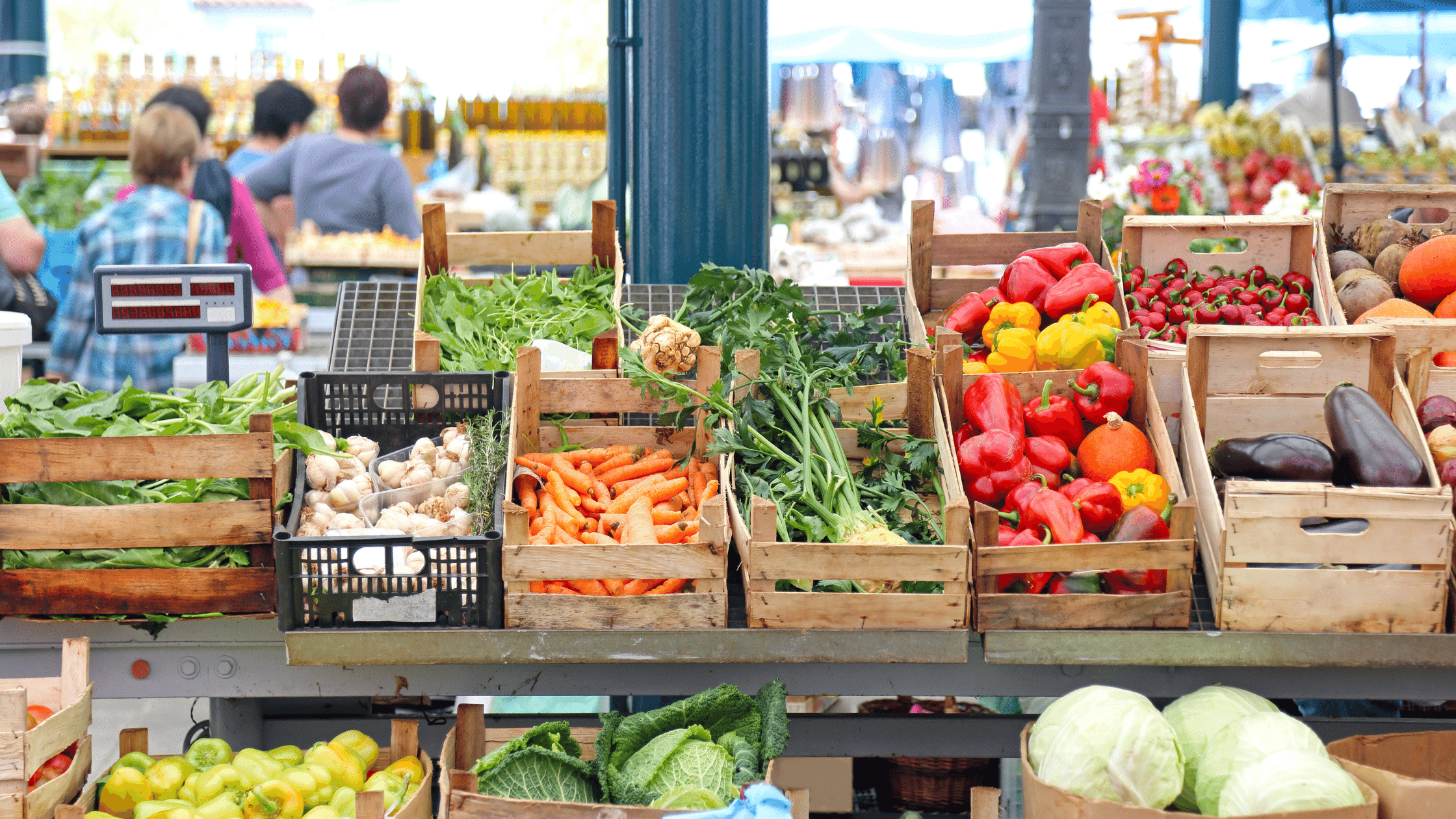 Everything You Need to Know About Farmers' Markets in Fort Lauderdale