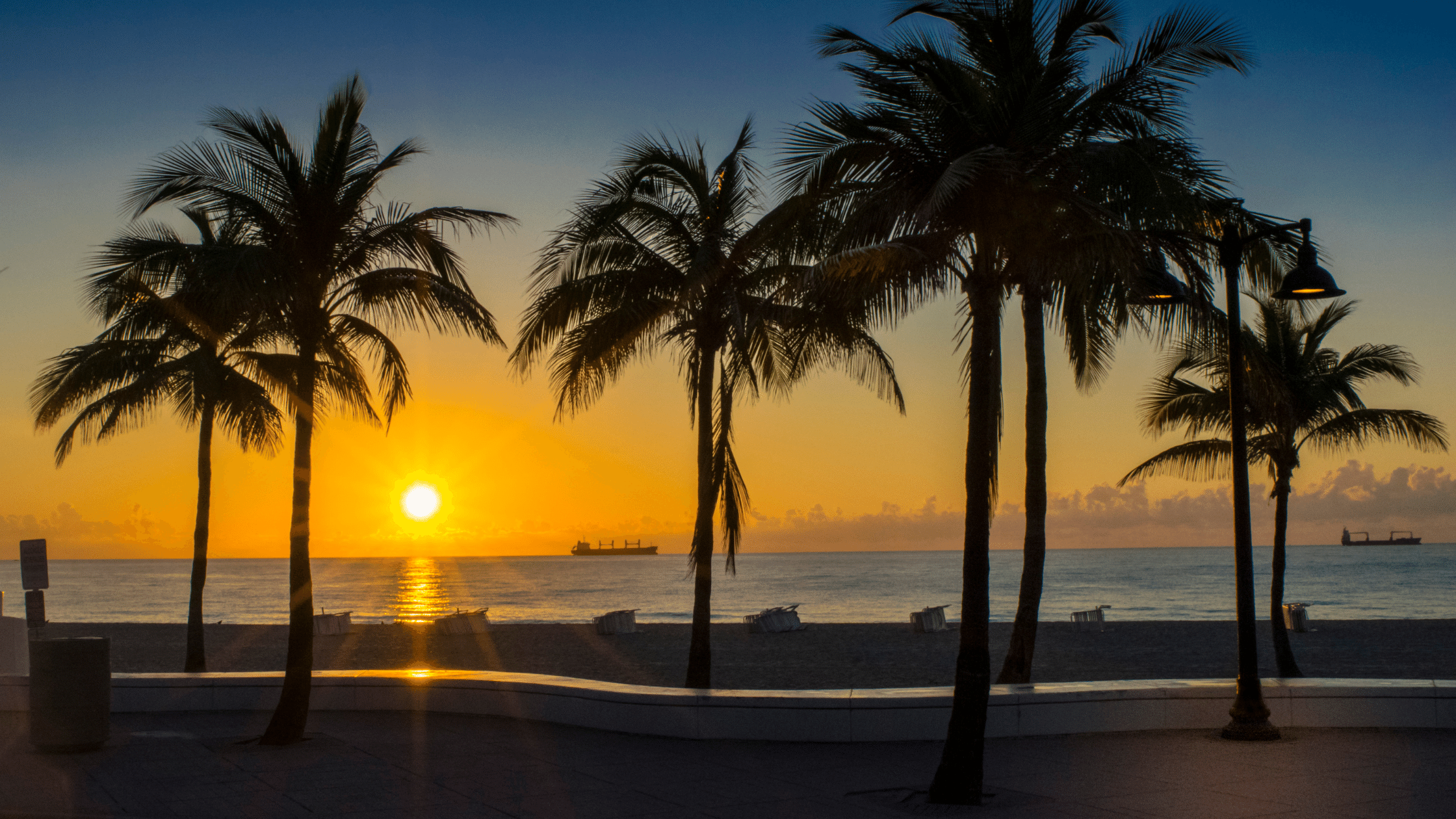 Explore Vista Park in Fort Lauderdale - Fort Lauderdale Stays